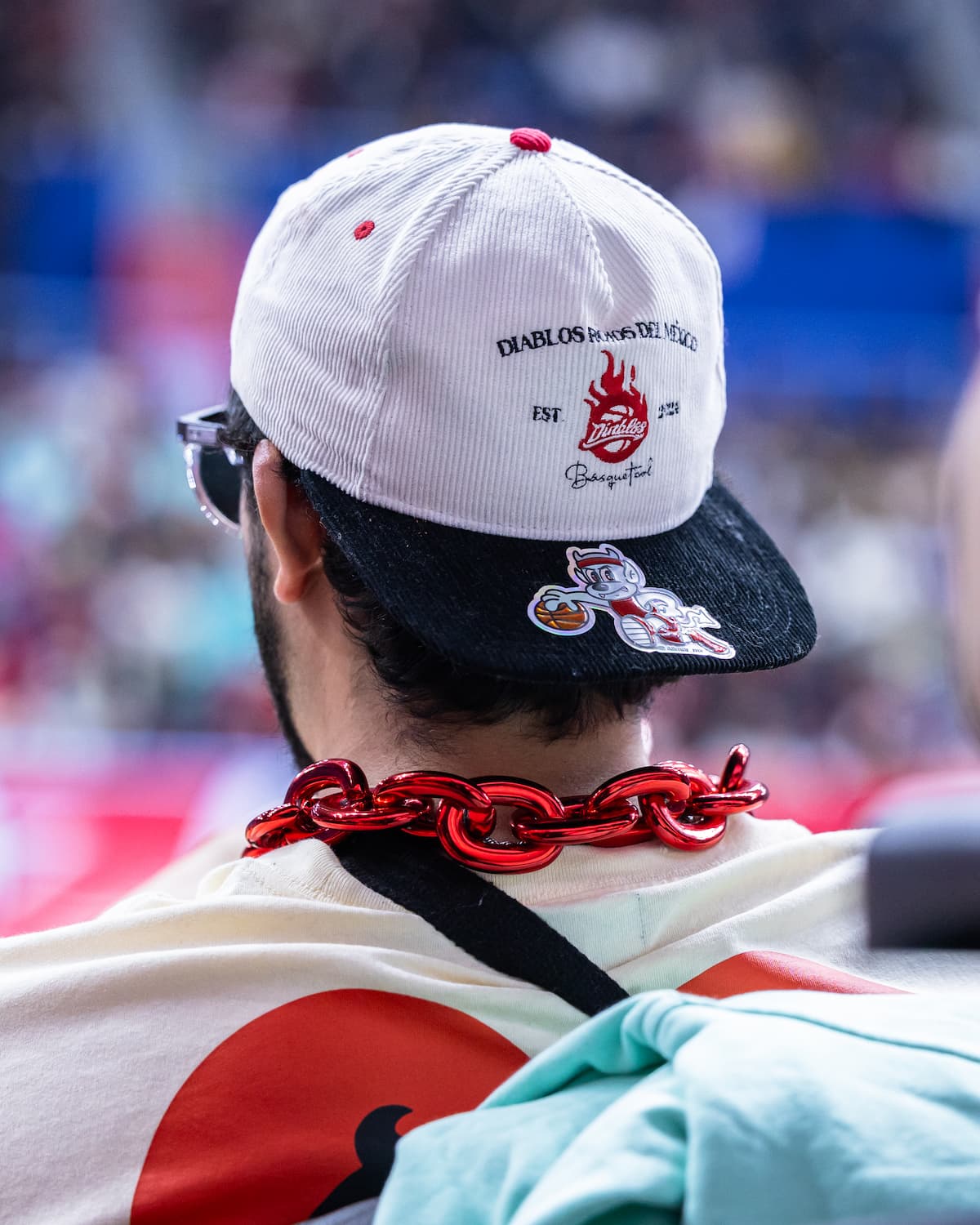 Afición Diablos Rojos